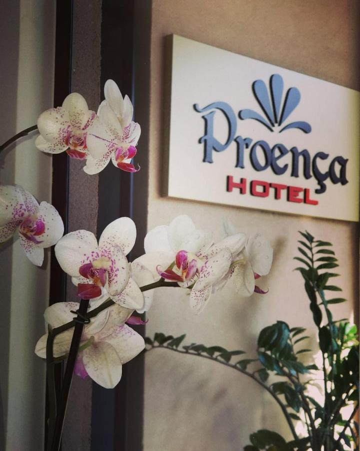 Proenca Hotel 巴雷图斯 外观 照片